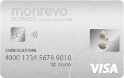 Visa Business Card